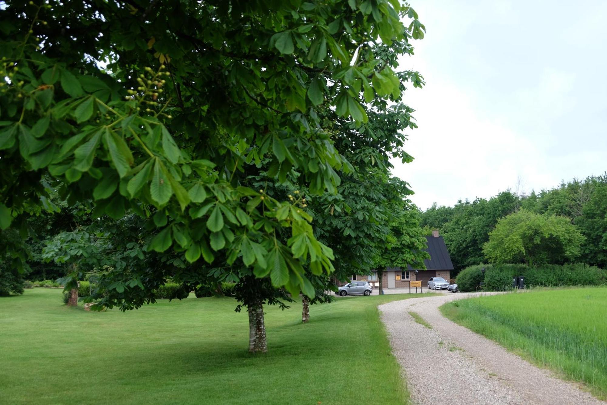 Billund Rooms Exterior foto